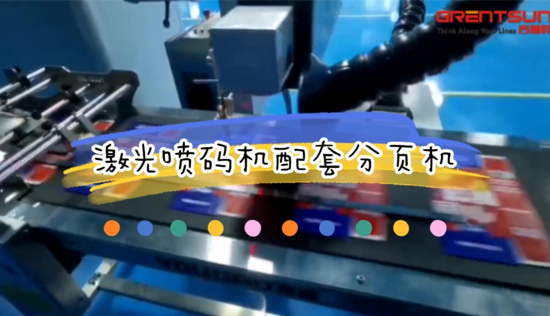 分页机激光喷码机应用实例（纸盒）