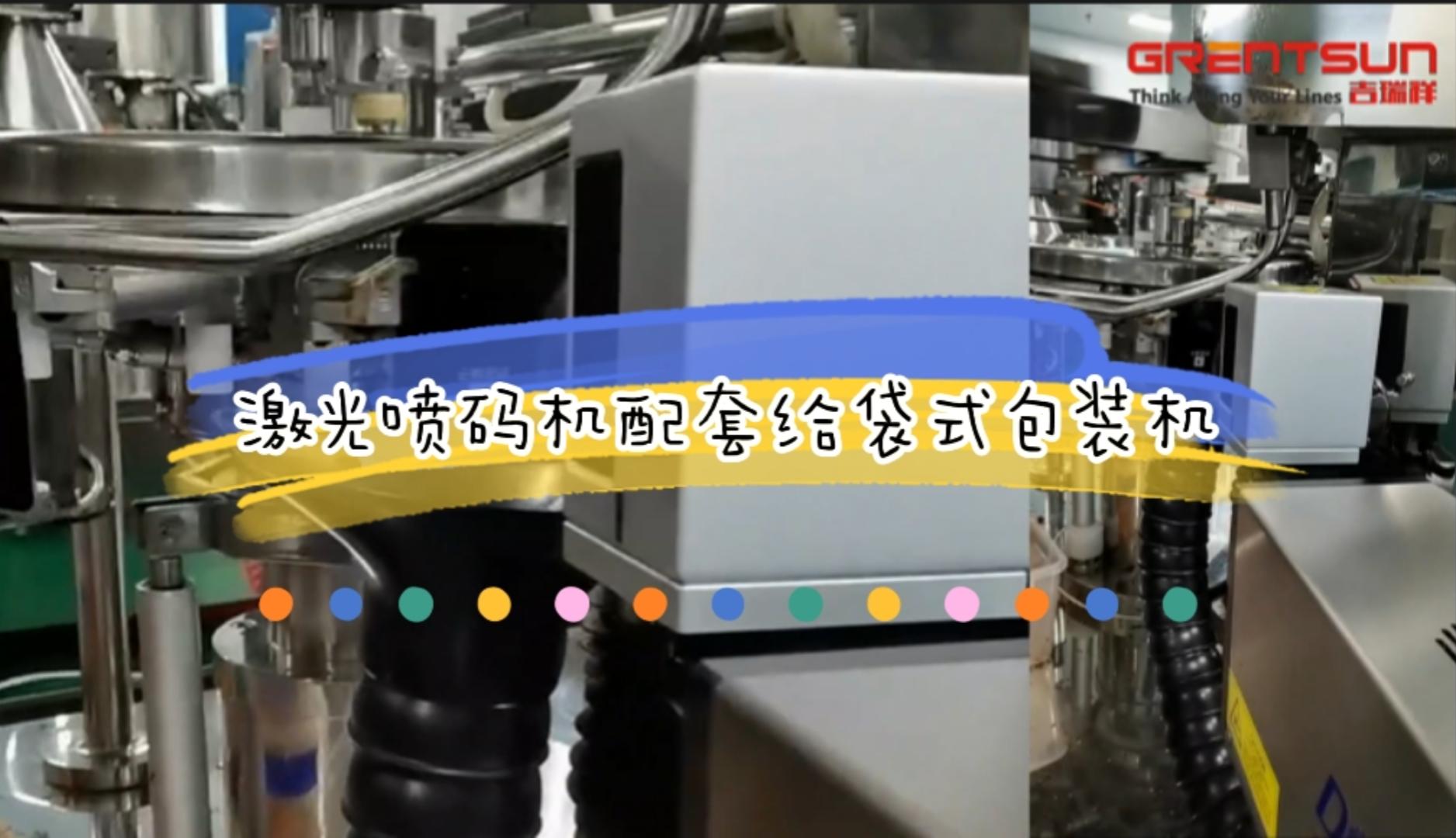 给袋式包装机激光喷码机应用实例