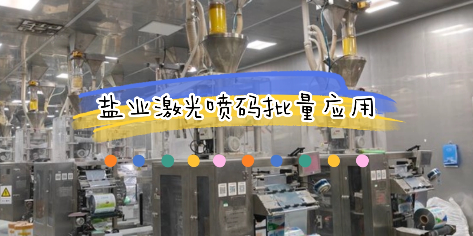 食用盐激光喷码批量应用现场