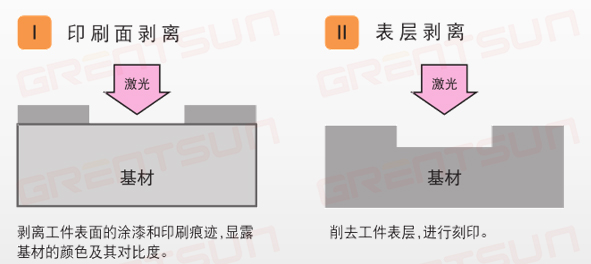 1771986736882490.jpg 微信图片_2026-02-25_102738_765.jpg