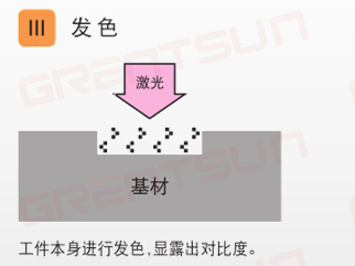1771986750498884.jpg 微信图片_2026-02-25_102756_917.jpg